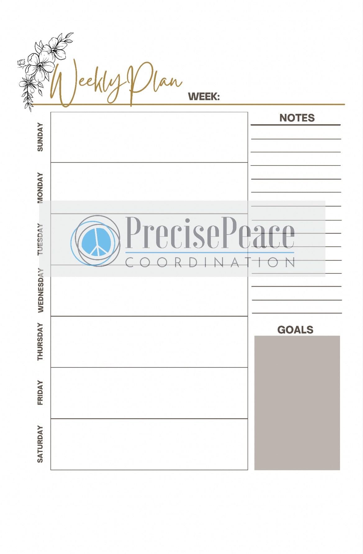 Weekly Plan