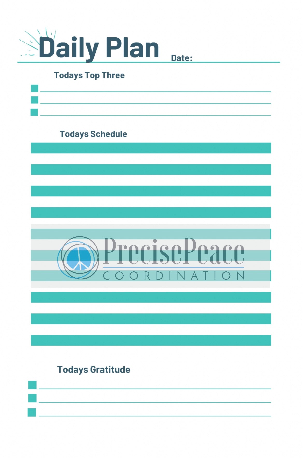 Daily Plan